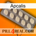 Apcalis 08